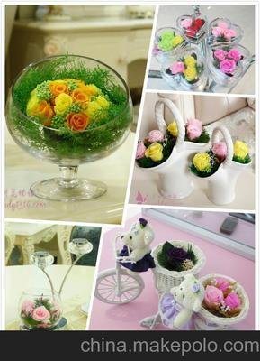 Preserved Flower Craft