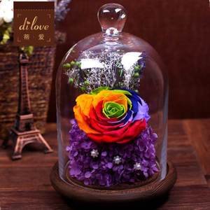 Preserved Flower Craft