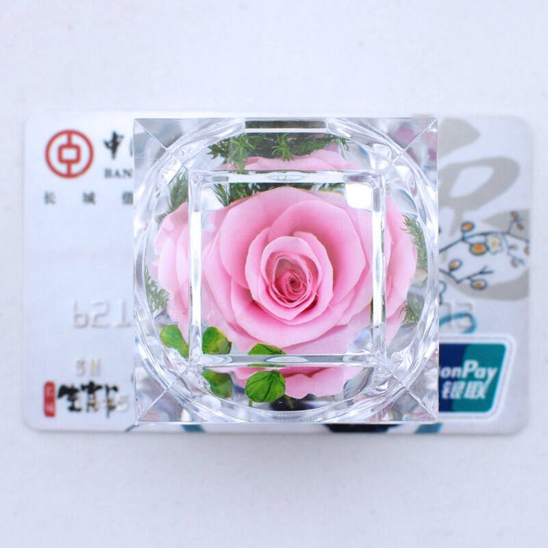 Preserved Flower Craft