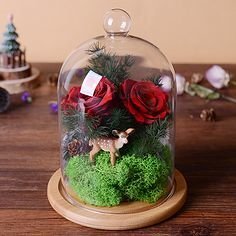 Preserved Flower Craft