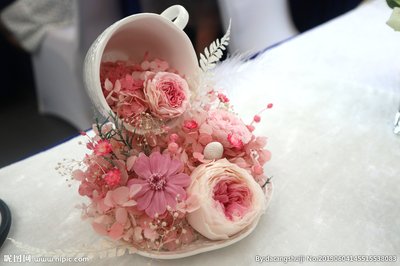 Preserved Flower Craft