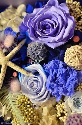 Preserved Flower Craft